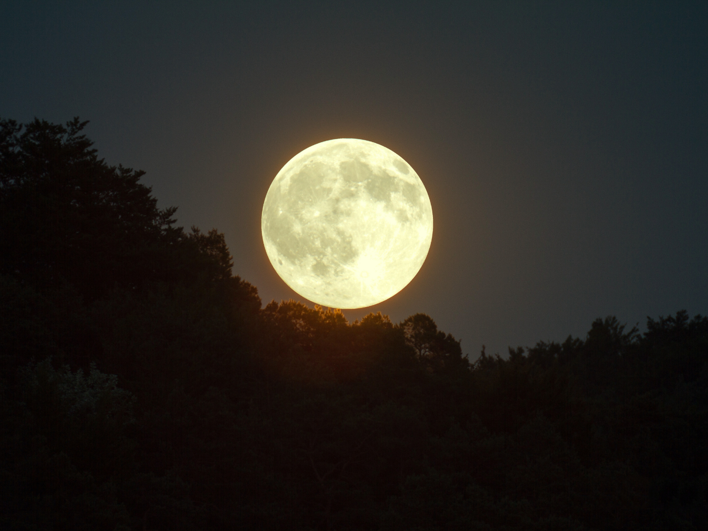 Why Sleep Is Your Skin's Most Crucial Skincare Treatment